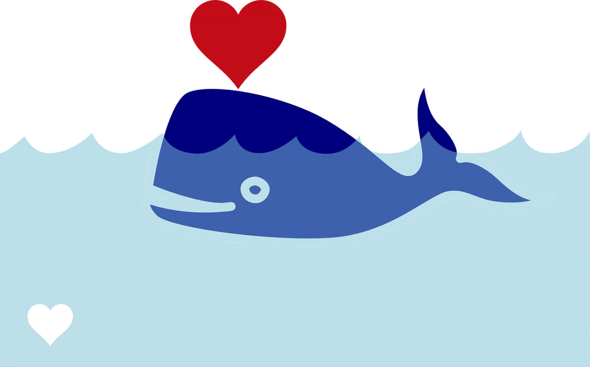 Ocean Cleanup