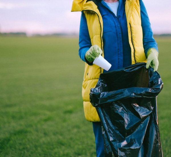 Waste Management Pickup Schedule for Holidays Waste management