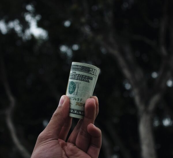 person-holding-the-money